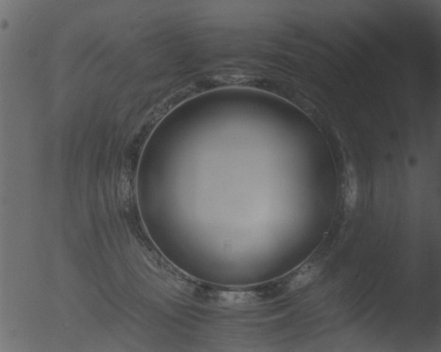 X0000053070371200507181632