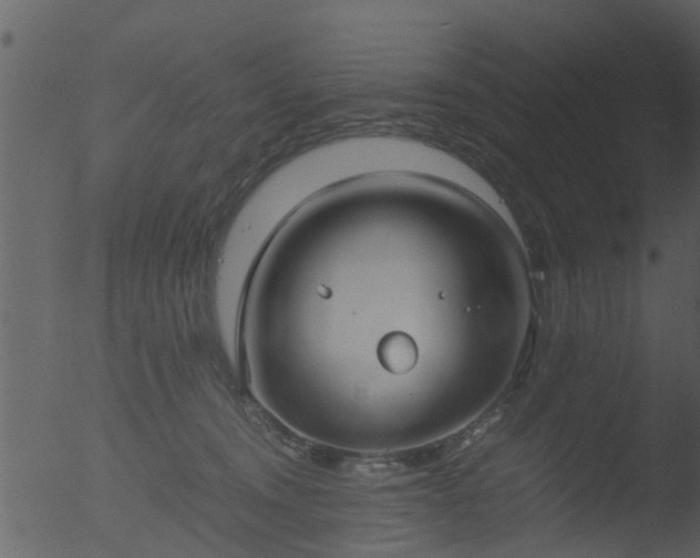 X0000053070372200507181632