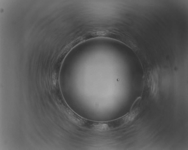 X0000053070374200507181632