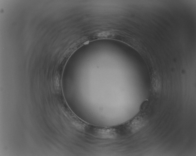 X0000053070375200507181632