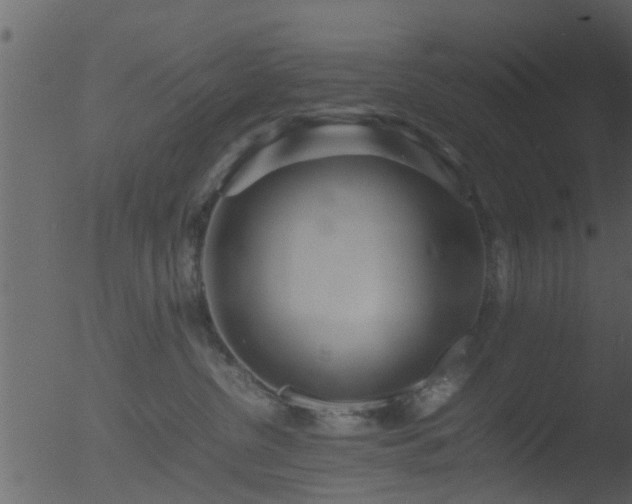 X0000053070380200507181632