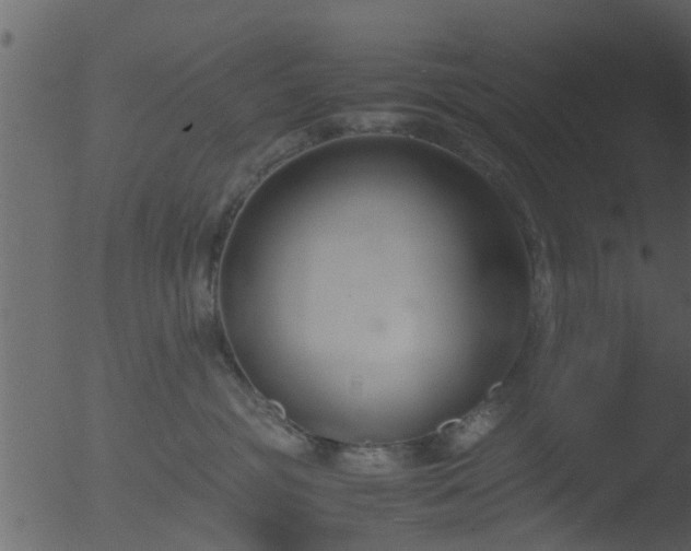 X0000053070381200507181632