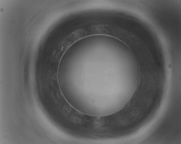 X0000053070382200507181632