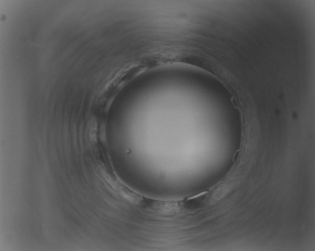 X0000053070384200507181632