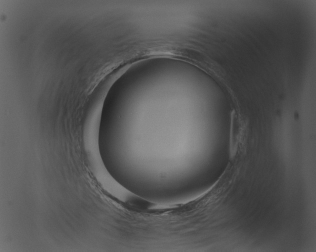 X0000053070385200507181632