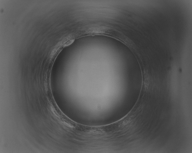 X0000053070386200507181632