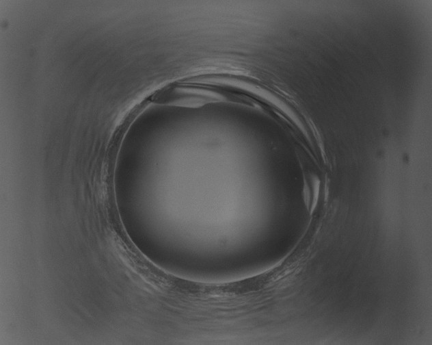 X0000053070387200507181632