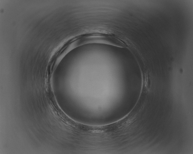 X0000053070388200507181632