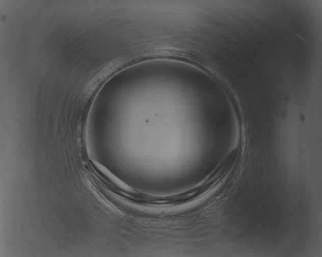 X0000053070389200507181632