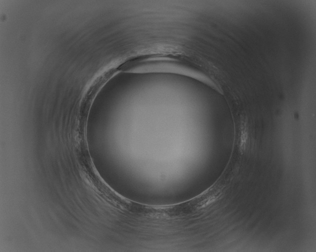 X0000053070392200507181631