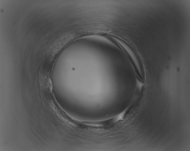 X0000053070393200507181631