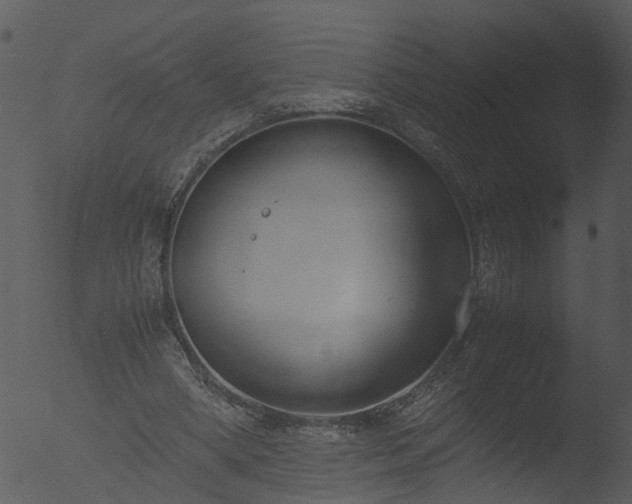 X0000053070394200507181631