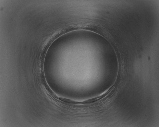 X0000053070395200507181631