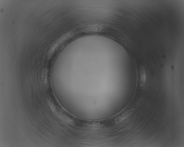 X0000053070396200507181631