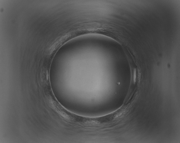 X0000053070397200507181631