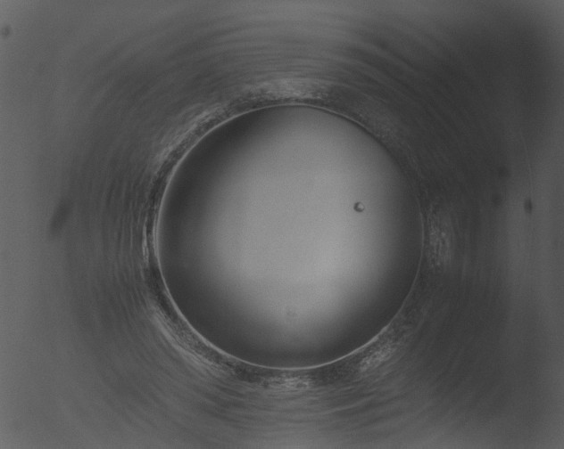 X0000053070398200507181631