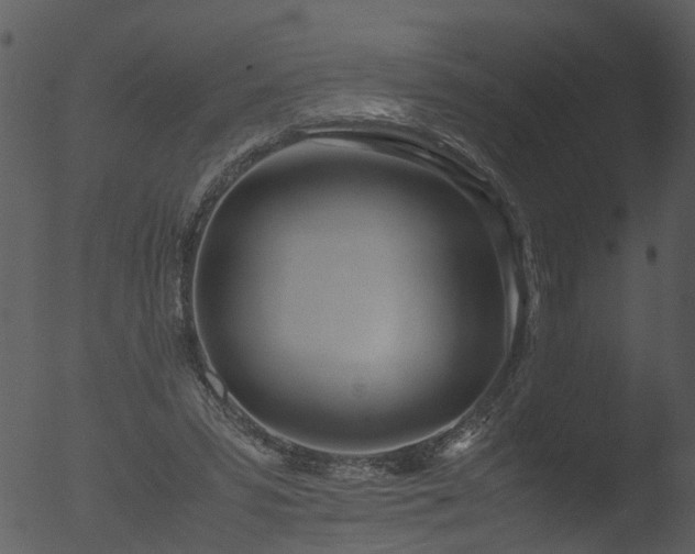 X0000053070399200507181631