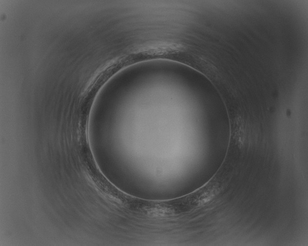 X0000053070400200507181631