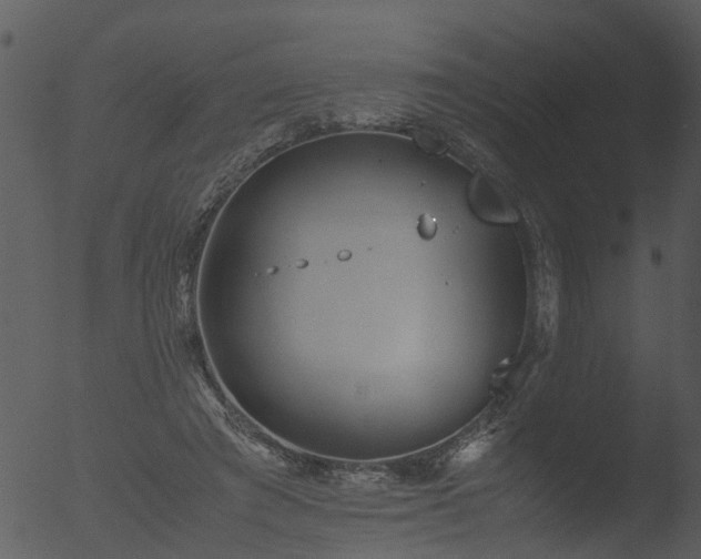 X0000053070401200507181631