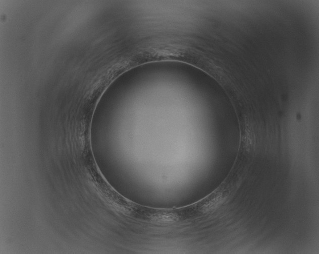 X0000053070402200507181631