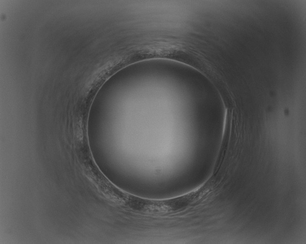 X0000053070403200507181631