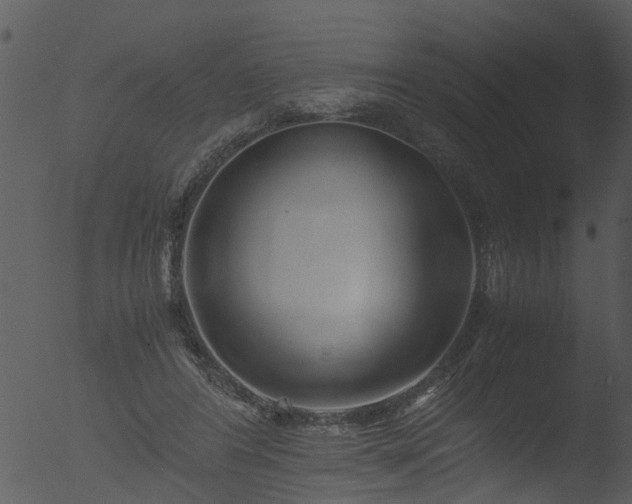 X0000053070404200507181631