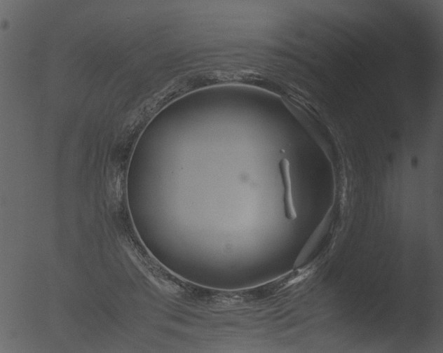 X0000053070405200507181631