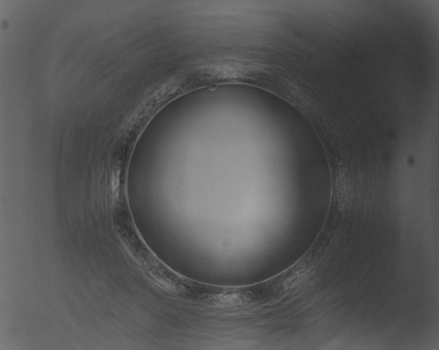 X0000053070406200507181631