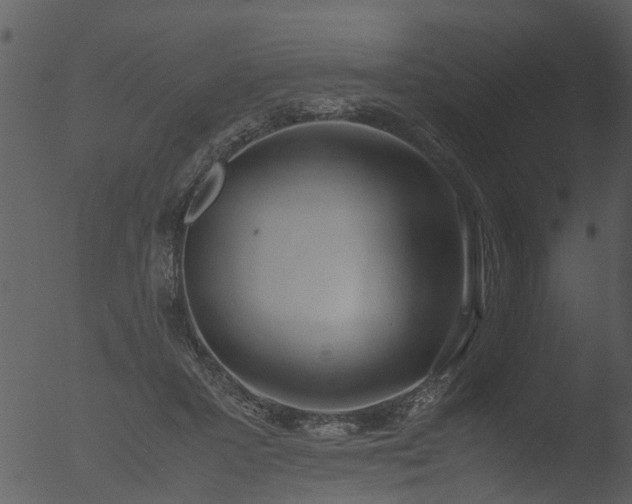 X0000053070407200507181631