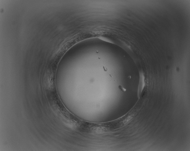 X0000053070408200507181631