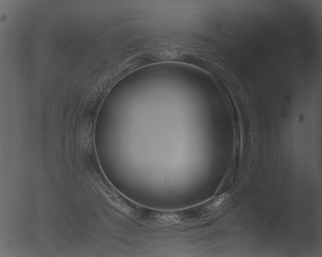 X0000053070409200507181631