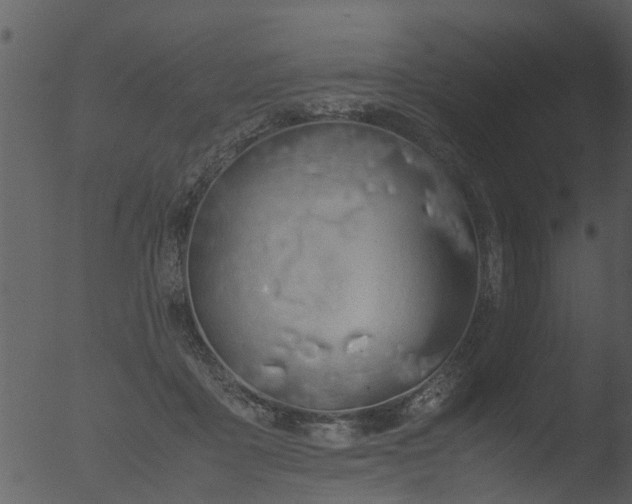 X0000053070411200507181631