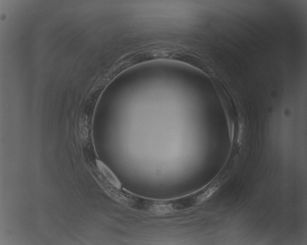 X0000053070413200507181631