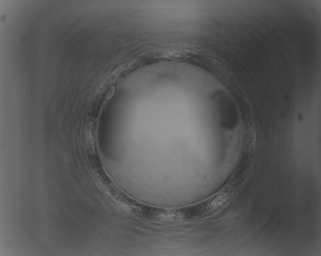 X0000053070415200507181631