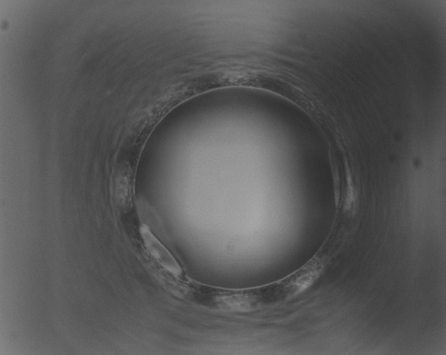 X0000053070417200507181631