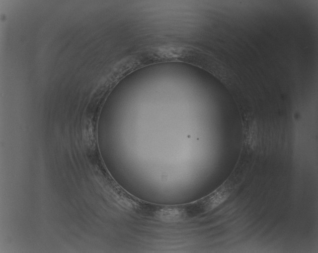 X0000053070418200507181631