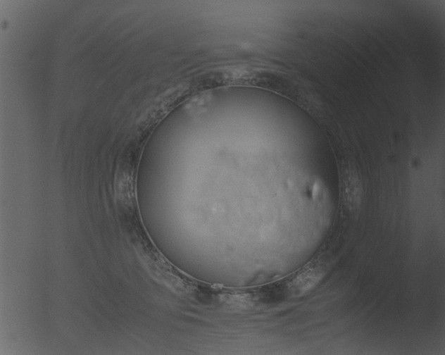 X0000053070419200507181631