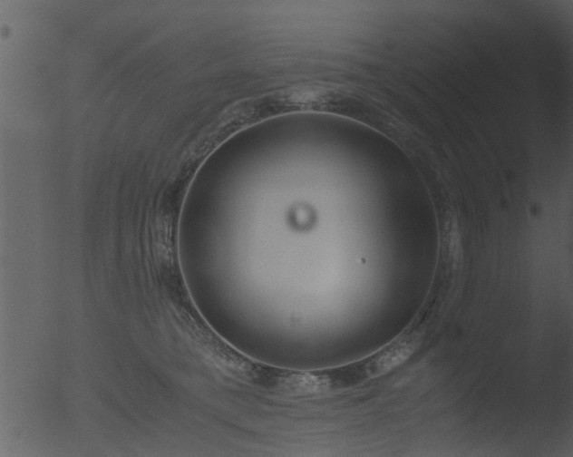 X0000053070421200507181631