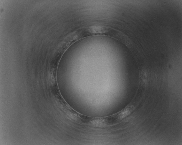 X0000053070422200507181631