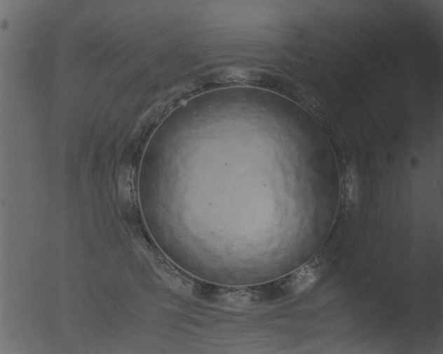 X0000053070423200507181631