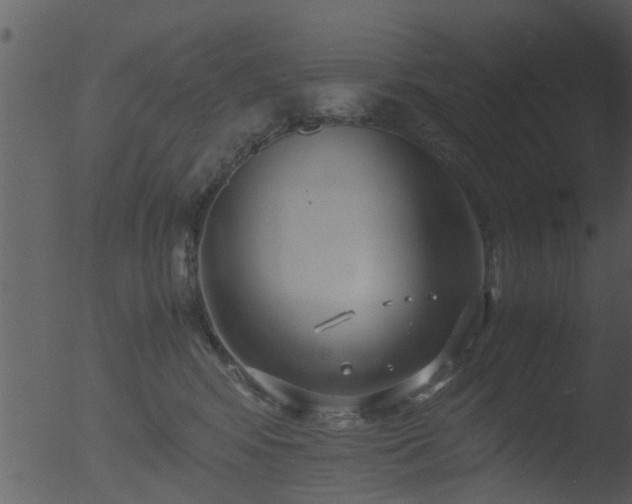 X0000053070424200507181631