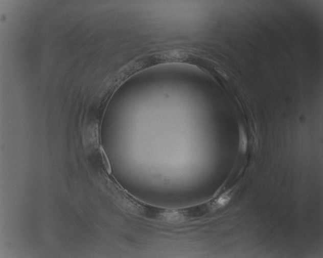 X0000053070425200507181631