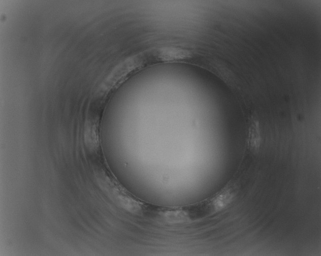 X0000053070426200507181631