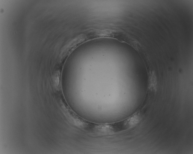 X0000053070427200507181631