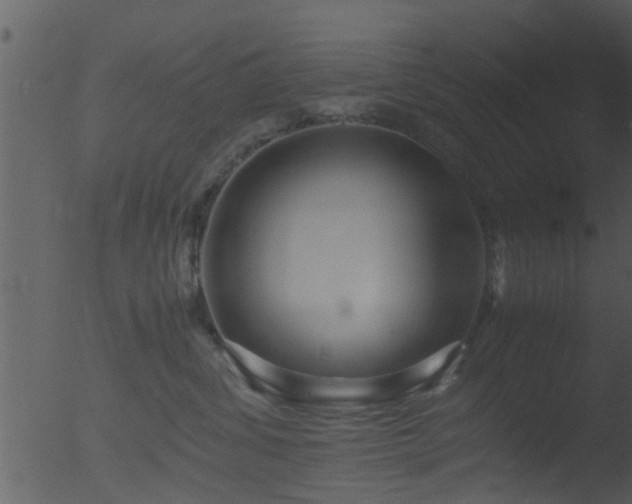 X0000053070428200507181631