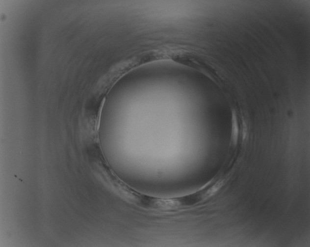 X0000053070429200507181631