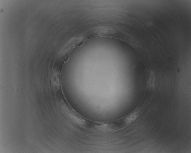 X0000053070430200507181631