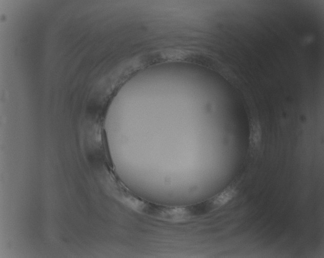 X0000053070431200507181631