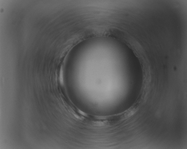 X0000053070432200507181631