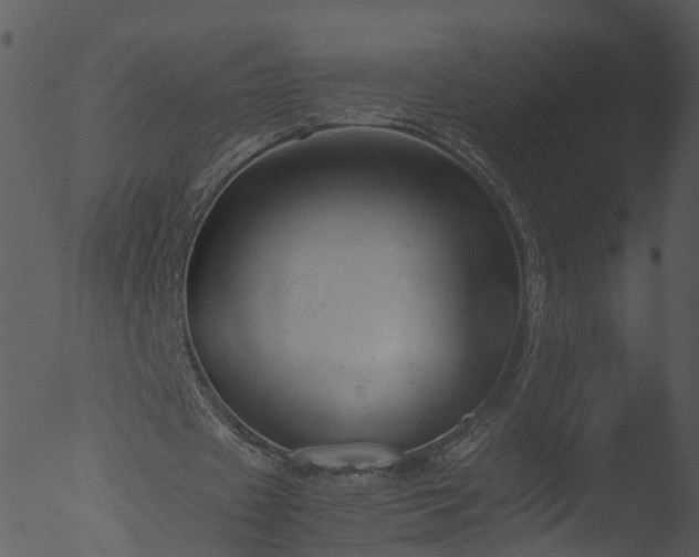 X0000053070433200507181630